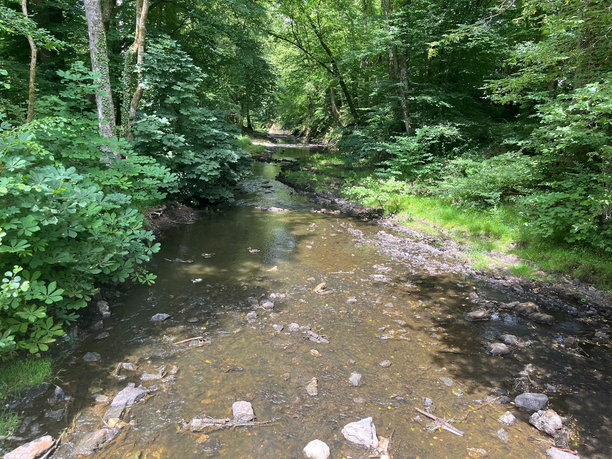 Cascade de Blangy (Hirson)